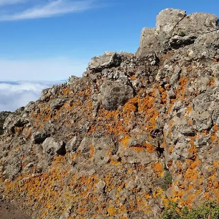 Nyaraló Aica Maraga Suite Buenavista del Norte