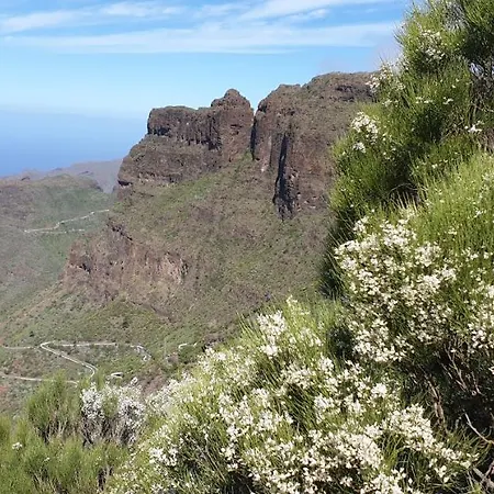 Aica Maraga Suite Buenavista del Norte